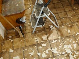 20260220_Lokalreno_05